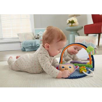 Mattel Fisher Price Μαϊμουδάκι Με Καθρέφτη Και Υφές DYC85 887961408850
