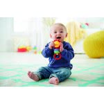 Mattel Fisher Price Κουδουνίστρα Λιονταράκι CGR32 887961071313