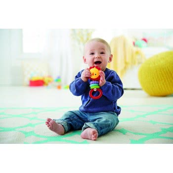 Mattel Fisher Price Κουδουνίστρα Λιονταράκι CGR32 887961071313