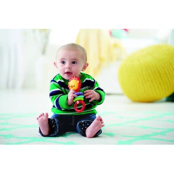 Mattel Fisher Price Κουδουνίστρα Λιονταράκι CGR32 887961071313