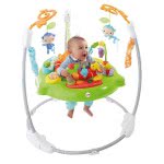 Mattel Fisher Price Jumperoo Λιονταράκι CHM91 887961083903
