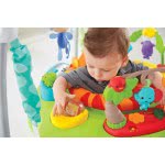 Mattel Fisher Price Jumperoo Λιονταράκι CHM91 887961083903
