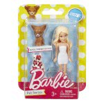 Mattel Mini Κούκλες Barbie Με Ζωάκι DTW45 / ASST 887961366082