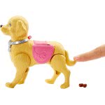 Mattel Η Barbie Και Το Σκυλάκι Της DWJ68 887961382884