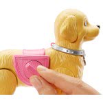 Mattel Η Barbie Και Το Σκυλάκι Της DWJ68 887961382884