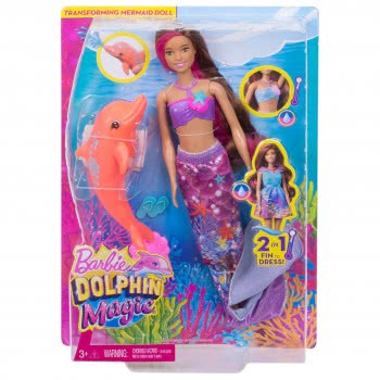 Mattel Barbie Dolphin Περιπέτεια Με Δελφίνια Φίλη Μεταμόρφωση Σε Γοργόνα FBD64 887961428643