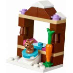 LEGO Friends Παγοδρόμιο Στο Χειμερινό Θέρετρο 41322 5702015866545