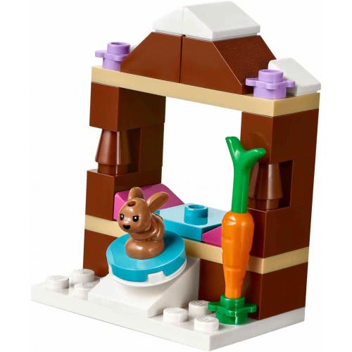 LEGO Friends Snow Resort Ice Rink 41322 5702015866545