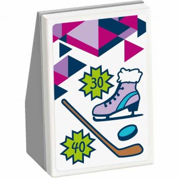 LEGO Friends Snow Resort Ice Rink 41322 5702015866545