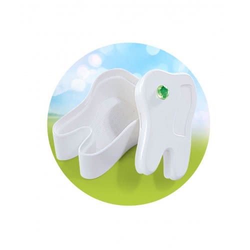 Playmobil Tooth Fairy 5381 4008789053817