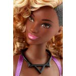 Mattel Barbie Fashionistas Zig And Zag Κούκλα Με Καμπύλες FBR37 / DVX79 887961376999