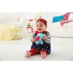 Mattel Ζωάκια Της Ζούγκλας Ελέφαντας CGG86 / CGG82 887961063684