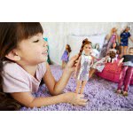 Mattel Barbie Fashionistas Sweet For Silver Petite Doll FBR37 / DYY92 887961426434