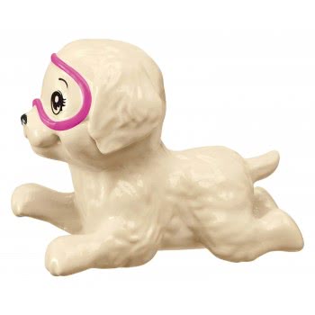 Mattel Barbie Περιπέτεια Με Δελφίνι Τσέλσι FCJ28 887961451702