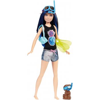 Mattel Barbie Dolphin Skipper Doll FBD68 / FBD70 887961428698