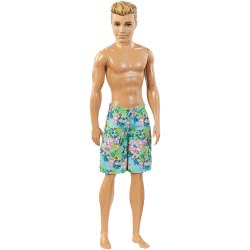 Mattel Barbie Beach Water Play Ken Κούκλα FJF08 / DGT83 887961202564