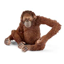 Schleich Wild Life Ουρακοτάγκος Θηλυκός 14775 4055744012679