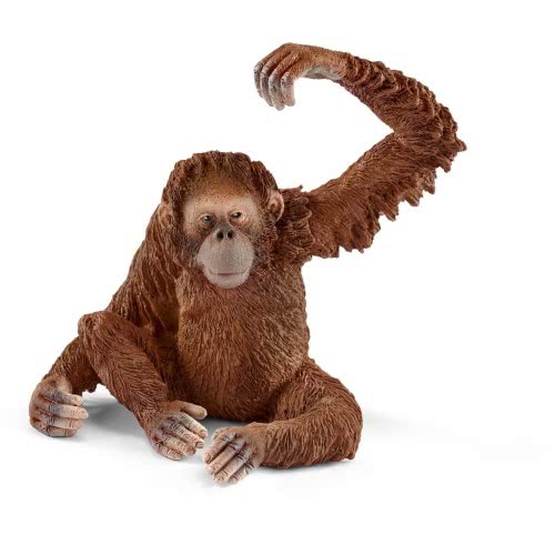 Schleich Wild Life Ουρακοτάγκος Θηλυκός 14775 4055744012679