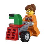LEGO Friends Advent Calendar 60155 5702015866019