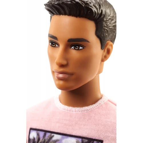 Mattel Barbie Ken Fashionistas No.17 Cali Cool Playing DWK44 / FJF75 887961535150