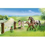 Playmobil Horse Paddock 6931 4008789069313