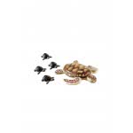 Playmobil Sea Turtle With Babies 9071 4008789090713
