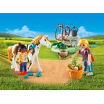 Playmobil Horse Grooming Carry Case 9100 4008789091000