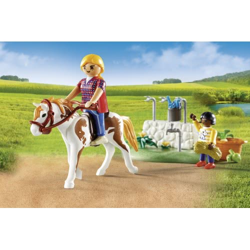 Playmobil Horse Grooming Carry Case 9100 4008789091000