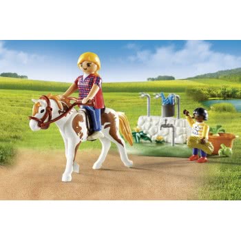 Playmobil Horse Grooming Carry Case 9100 4008789091000