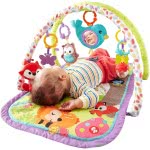 Mattel Woodland Friends 3-In-1 Musical Activity Gym CDN47 887961046045