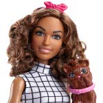 Mattel Barbie Pet Groomer Σετ Παιχνιδιού DHB63 / FJB31 887961531855