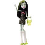 Mattel Monster High Πικ Νικ - 4 Σχέδια CHW69 / ASST 887961090048