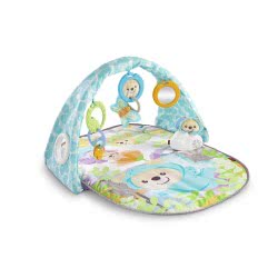 Mattel Fisher Price Μουσικό Γυμναστήριο Αρκουδάκια DYW46 887961423945