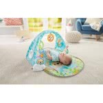 Mattel Fisher Price Μουσικό Γυμναστήριο Αρκουδάκια DYW46 887961423945