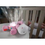 Mattel Μουσικός Προβολέας Ιπποπόταμος - Ροζ FGG89 887961504743