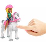 Mattel Barbie On The Go - Carnival Playset FHV70 887961529760