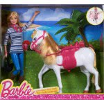 Mattel Barbie Και Άλογο CFN42 887961058758