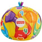 Mattel Laugh & Learn - Kick Soccer Ball FTC99 887961641219