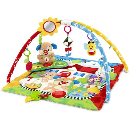 Mattel Εκπαιδευτικό Γυμναστήριο Με Σκυλάκι FTN23 887961649802