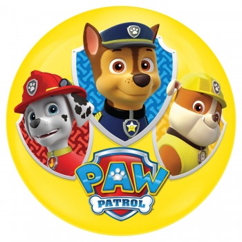 John Light Up Ball 100Mm Paw Patrol With LED - 2 Designs 52159 4006149521594