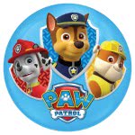 John Light Up Ball 100Mm Paw Patrol With LED - 2 Designs 52159 4006149521594