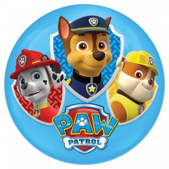 John Light Up Ball 100Mm Paw Patrol With LED - 2 Designs 52159 4006149521594