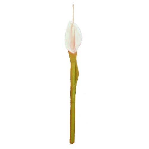 Λαμπάδες Decor Candle Lily 328 5212016800122
