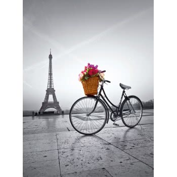 Clementoni Puzzle High Quality Collection With Flowers In Paris 500 Pcs 1220-35014 8005125350148
