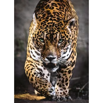 Clementoni Puzzle High Quality Collection Walk On The Jaguar 1000 Pcs 1220-39326 8005125393268