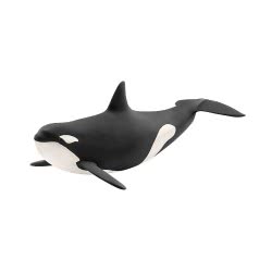 Schleich Wild Life Killer Whale 14807 4055744020759
