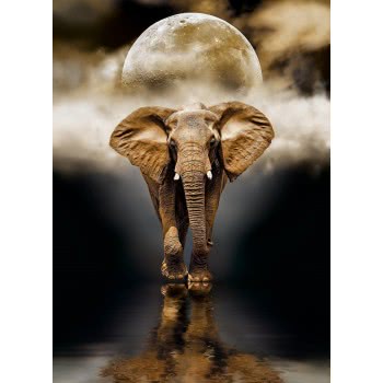 Clementoni Puzzle High Quality Collection The Elephant 1000 Pcs 1220-39416 8005125394166