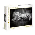 Clementoni Παζλ Quality Collection Γατούλα 1000 Τμχ 1220-39422 8005125394227