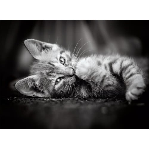 Clementoni Puzzle High Quality Collection Kitty 1000 Pcs 1220-39422 8005125394227
