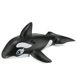 INTEX Whale Ride-On 58561 078257585618